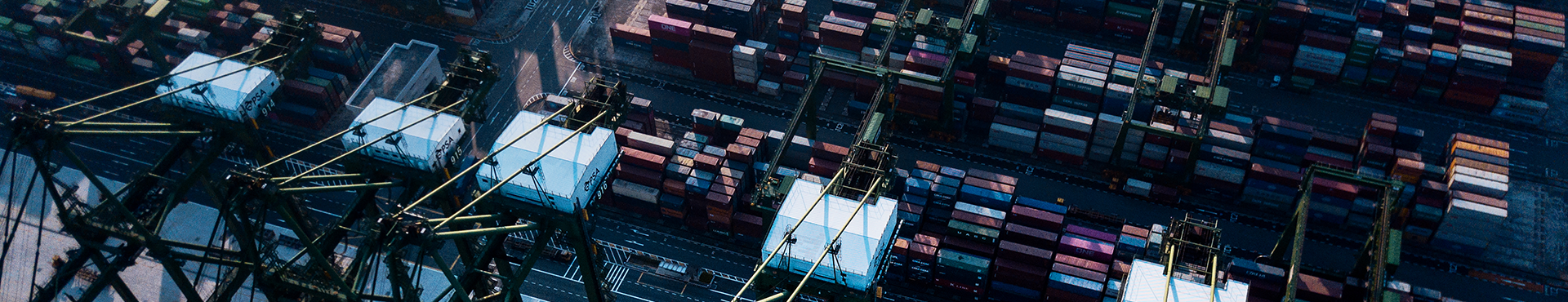 Read the Forrester report