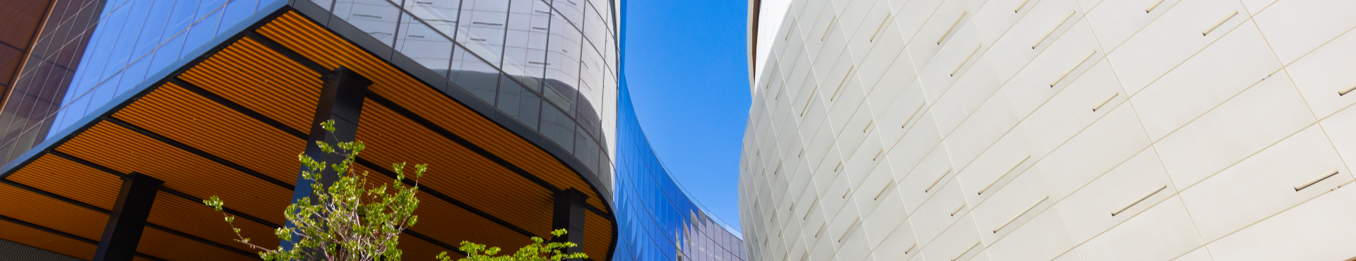 Buildings in the city